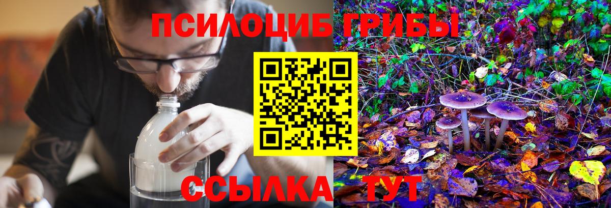 Галлюциногенные грибы Magic Shrooms  Вход с VPN  Советский 