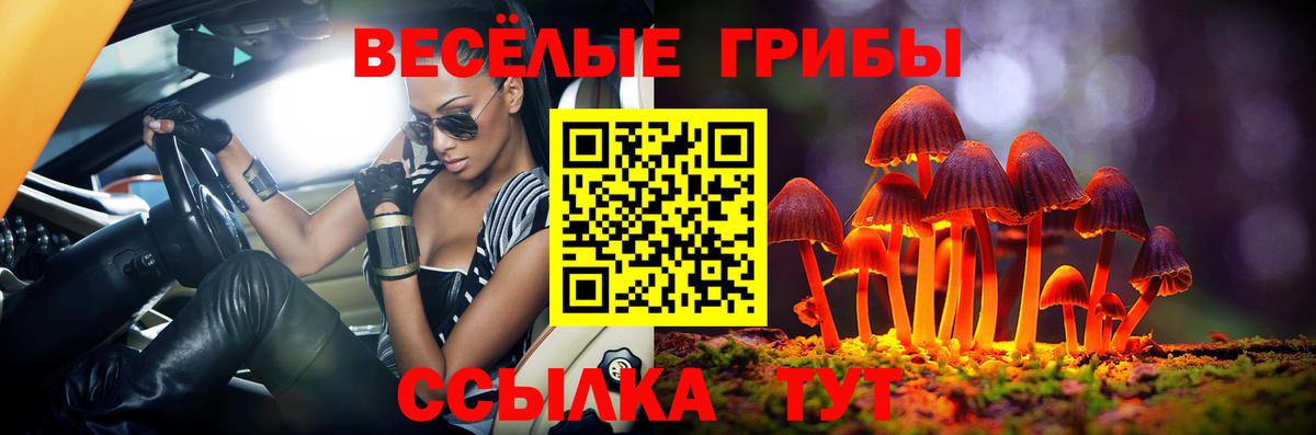 Псилоцибиновые грибы прущие грибы Советский